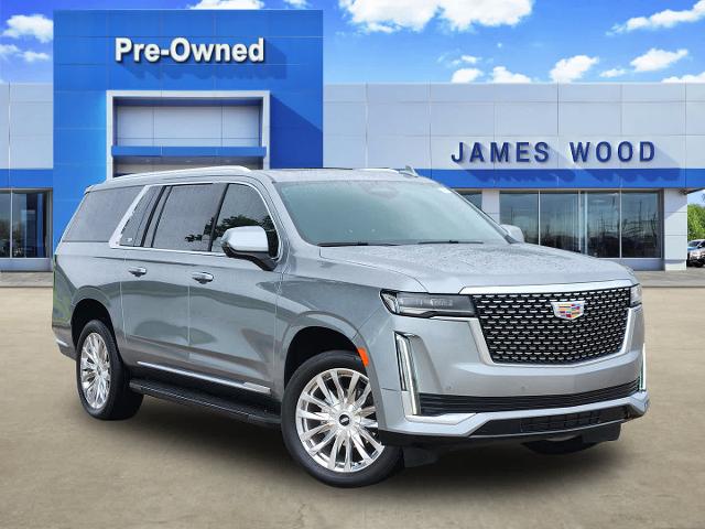 2023 Cadillac Escalade ESV Vehicle Photo in DENTON, TX 76210-9321