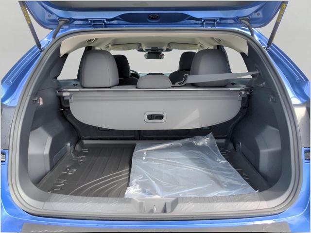 2025 Subaru Crosstrek Vehicle Photo in Green Bay, WI 54304
