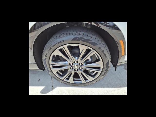 2025 Cadillac OPTIQ Vehicle Photo in Tampa, FL 33612