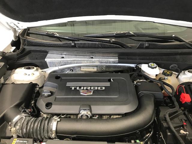 2022 Cadillac XT4 Vehicle Photo in GREEN BAY, WI 54303-3330