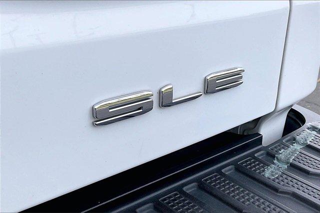 2020 GMC Sierra 1500 Vehicle Photo in INDEPENDENCE, MO 64055-1314
