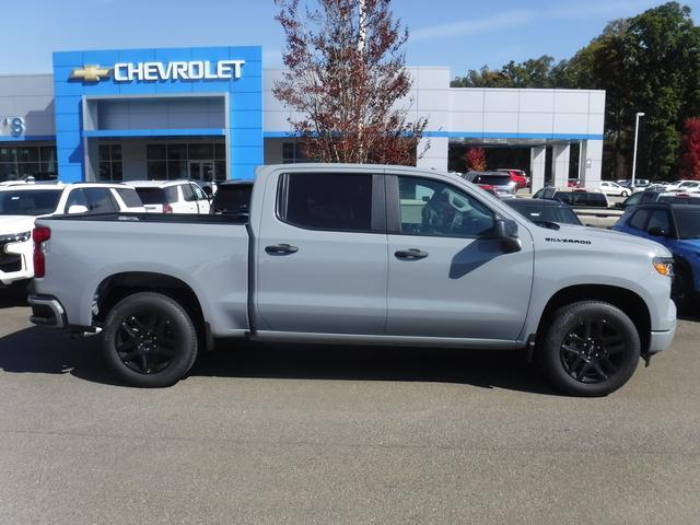 2024 Chevrolet Silverado 1500 Vehicle Photo in JASPER, GA 30143-8655