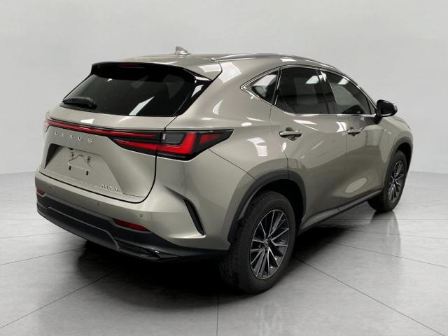2024 Lexus NX 250 Vehicle Photo in Appleton, WI 54913