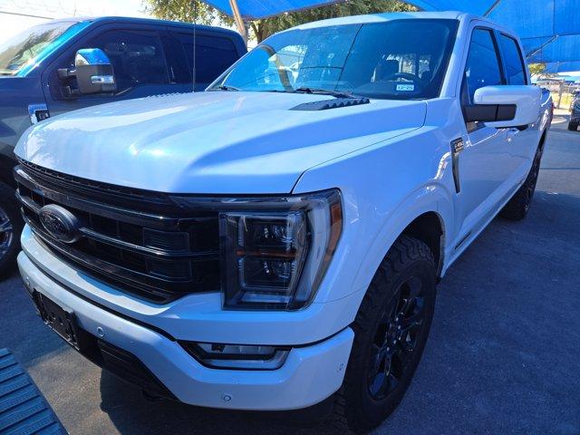 2023 Ford F-150 Vehicle Photo in Decatur, TX 76234