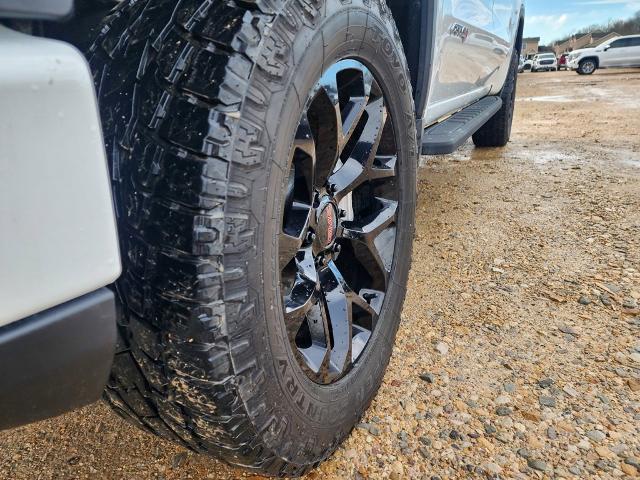 2024 GMC Sierra 1500 Vehicle Photo in PARIS, TX 75460-2116