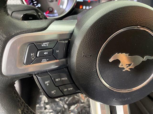 2019 Ford Mustang Vehicle Photo in PHOENIX, AZ 85014-3381