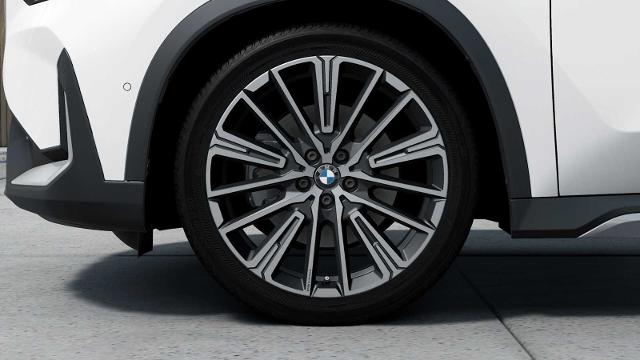 2025 BMW X1 xDrive28i Vehicle Photo in GRAPEVINE, TX 76051