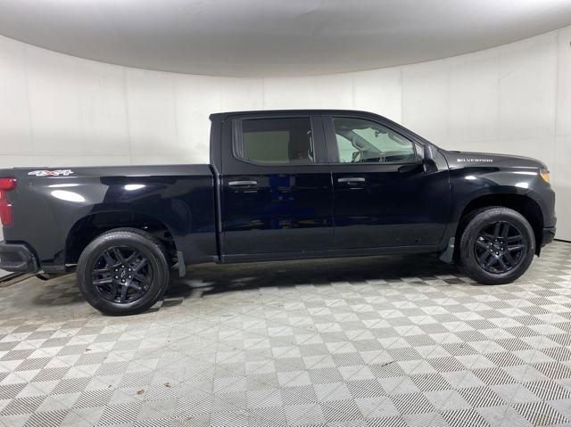 2023 Chevrolet Silverado 1500 Vehicle Photo in MEDINA, OH 44256-9001