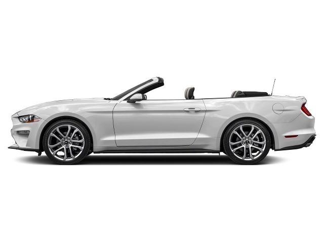 2022 Ford Mustang Vehicle Photo in Green Bay, WI 54304
