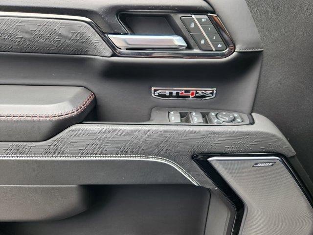 2024 GMC Sierra 1500 Vehicle Photo in Decatur, TX 76234