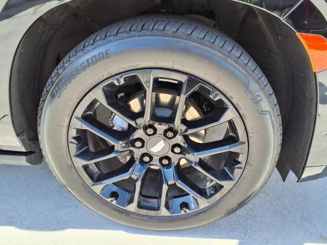 2023 Cadillac Escalade Vehicle Photo in Tampa, FL 33612