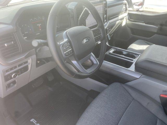 2024 Ford F-150 Vehicle Photo in Ogallala, NE 69153