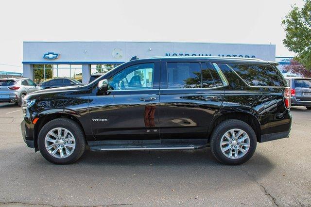 2023 Chevrolet Tahoe Vehicle Photo in MILES CITY, MT 59301-5791