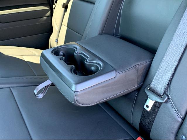 2025 GMC Sierra 1500 Vehicle Photo in BEAUFORT, SC 29906-4218