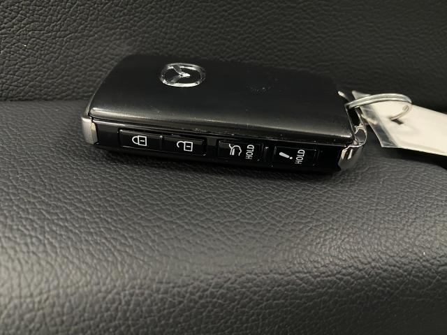 2024 Mazda CX-50 Vehicle Photo in Appleton, WI 54913