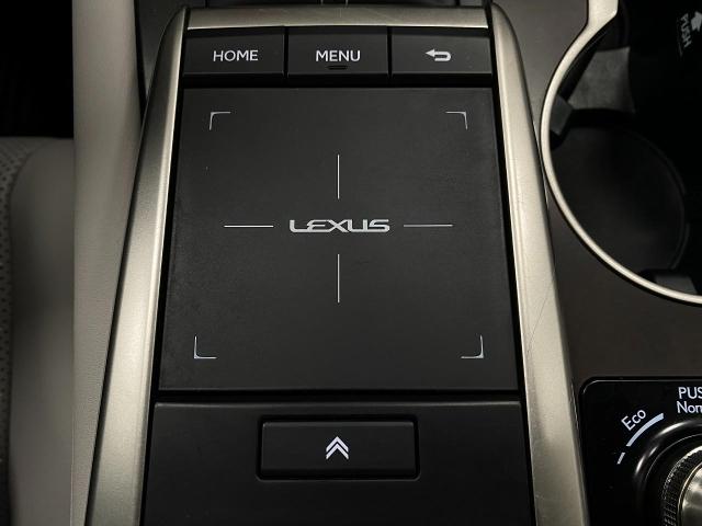 2022 Lexus RX 350 Vehicle Photo in Appleton, WI 54913