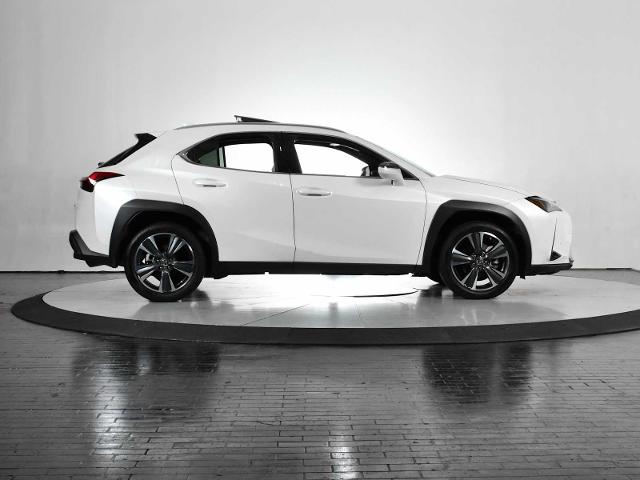2024 Lexus UX 250h Vehicle Photo in DALLAS, TX 75235