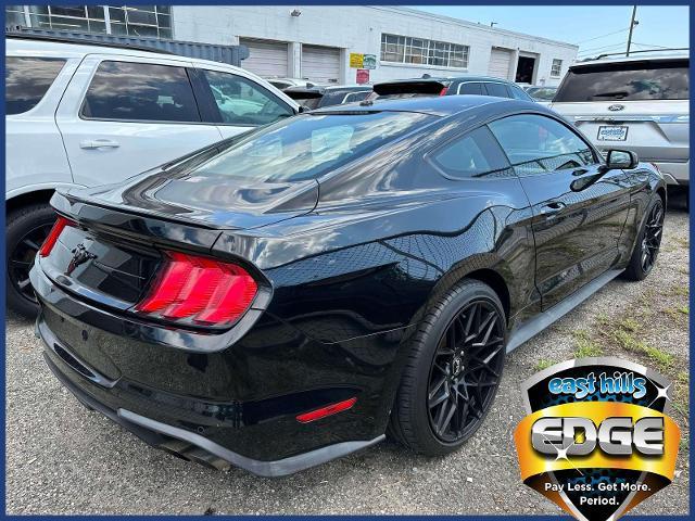 2019 Ford Mustang Vehicle Photo in Roslyn, NY 11576