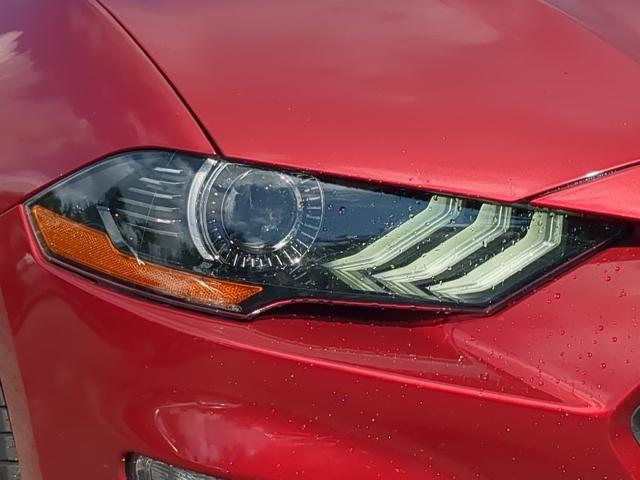 2018 Ford Mustang Vehicle Photo in Brunswick, GA 31525
