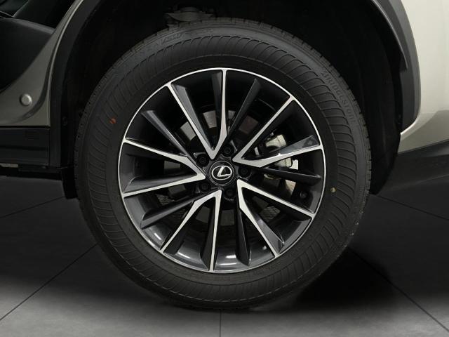 2025 Lexus NX 350 Vehicle Photo in Appleton, WI 54913