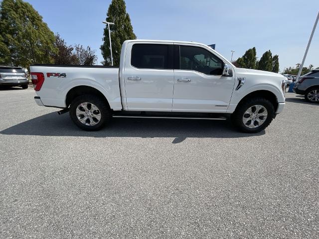 2021 Ford F-150 Vehicle Photo in BENTONVILLE, AR 72712-4322