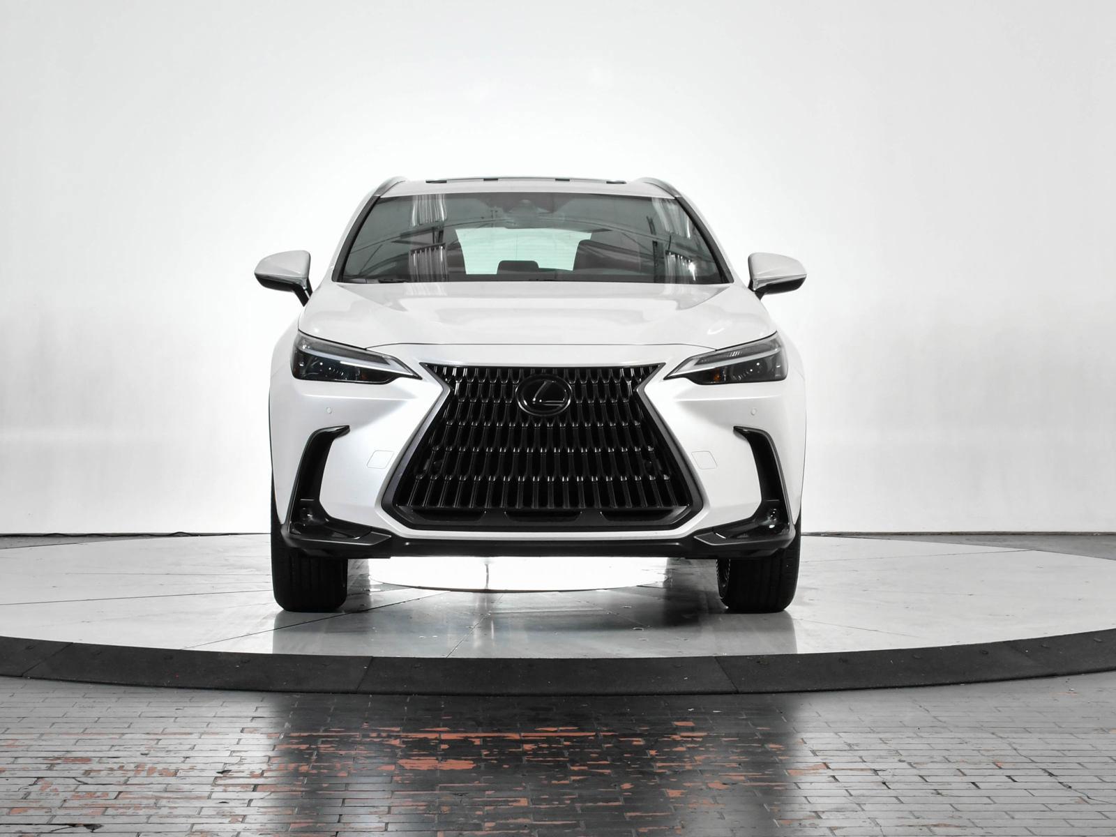 2024 Lexus NX 250 Vehicle Photo in DALLAS, TX 75235