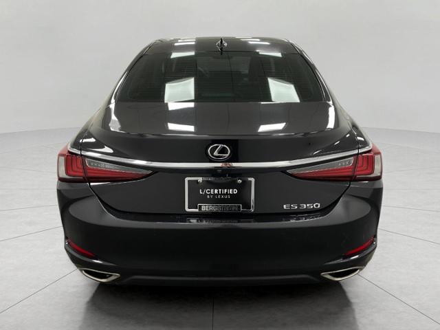 2019 Lexus ES 350 Vehicle Photo in Appleton, WI 54913