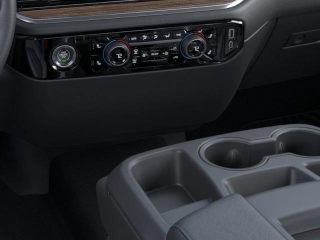 2024 Chevrolet Silverado 1500 Vehicle Photo in SAVANNAH, GA 31406-4513