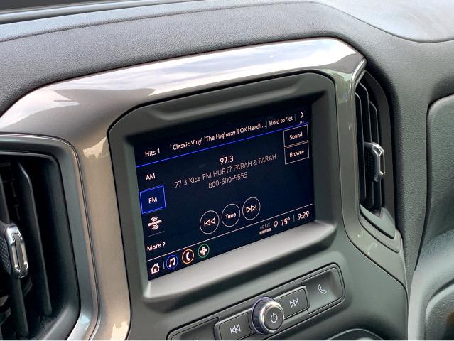 2025 Chevrolet Silverado 1500 Vehicle Photo in BEAUFORT, SC 29906-4218