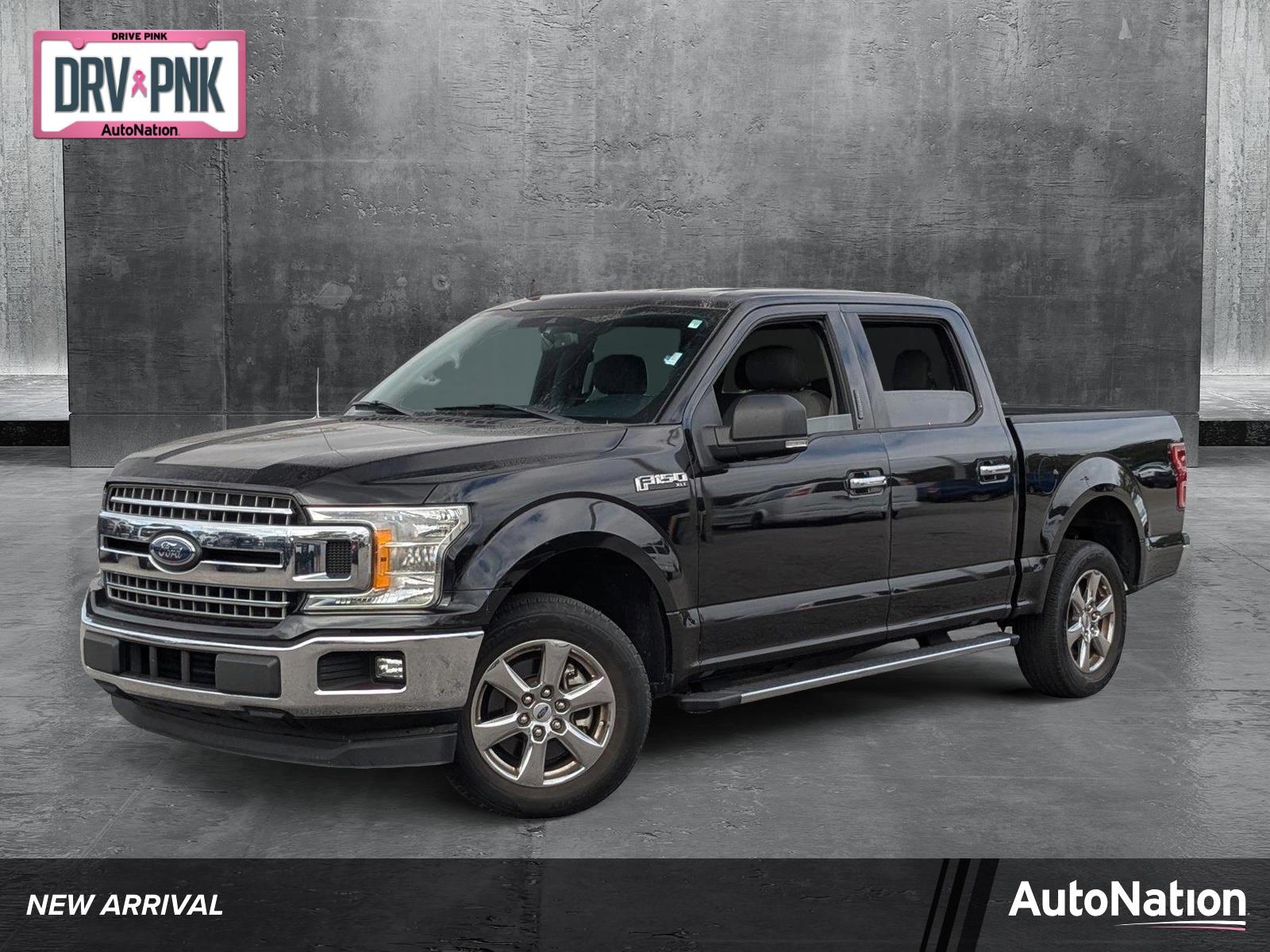 2019 Ford F-150 Vehicle Photo in St. Petersburg, FL 33713