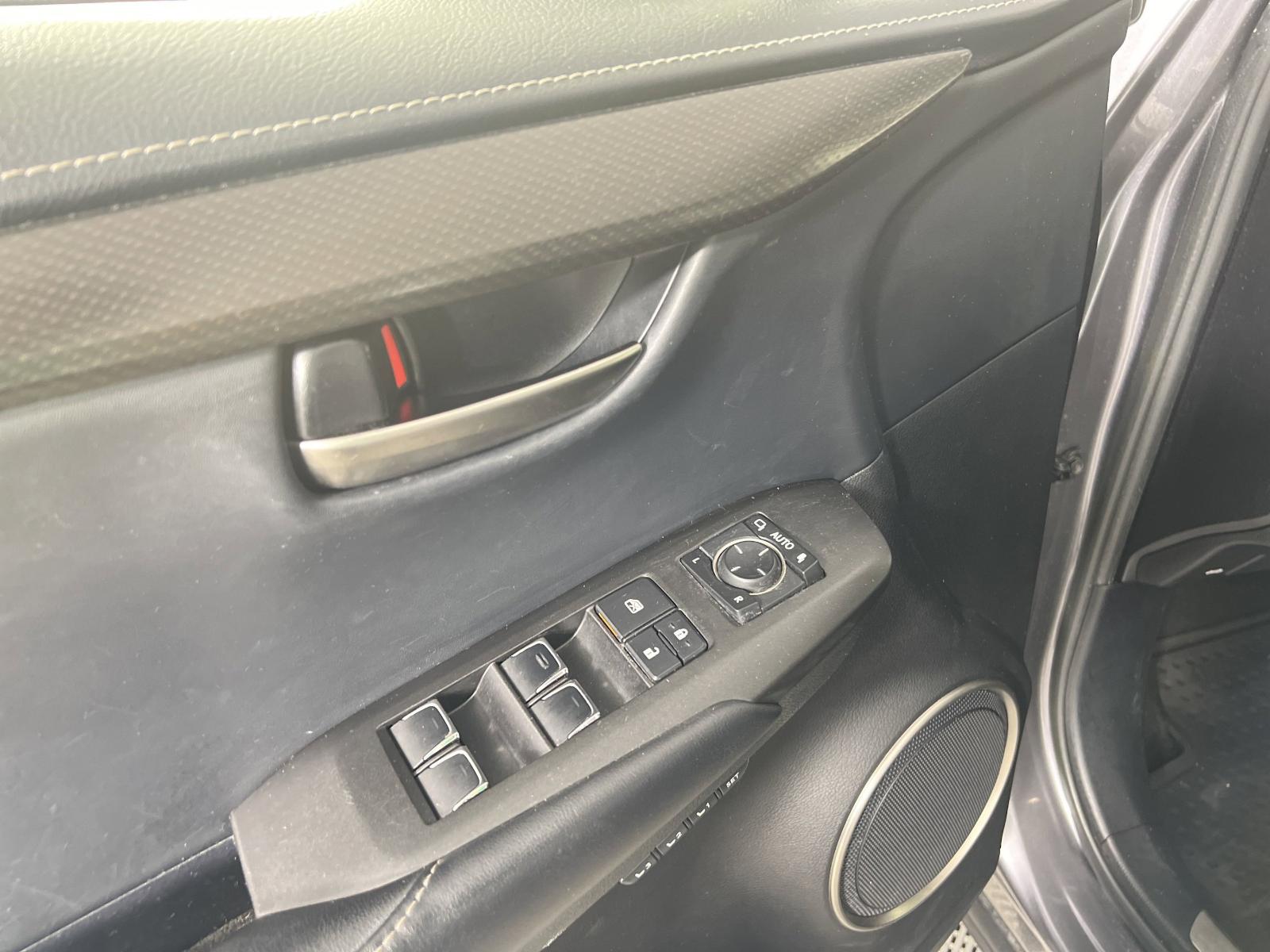 2019 Lexus NX 300 Vehicle Photo in Georgetown, TX 78626