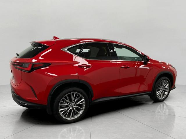 2025 Lexus NX 350h Vehicle Photo in Appleton, WI 54913