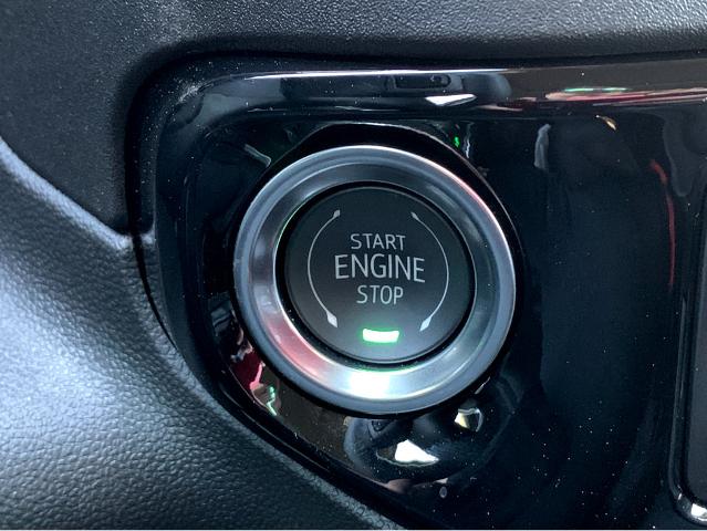 2025 GMC Sierra 1500 Vehicle Photo in BEAUFORT, SC 29906-4218