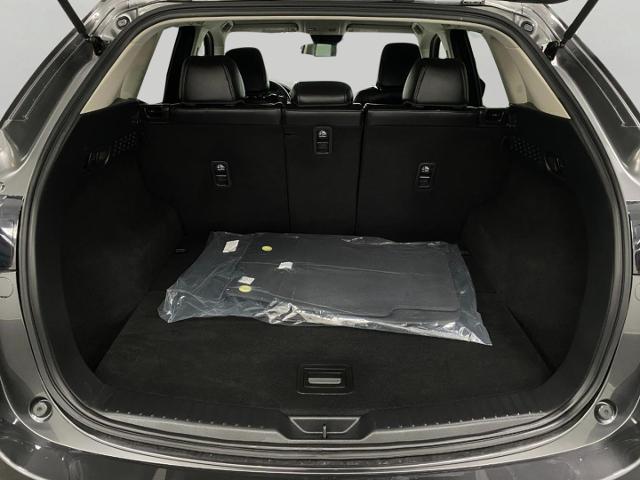 2023 Mazda CX-5 Vehicle Photo in Appleton, WI 54913