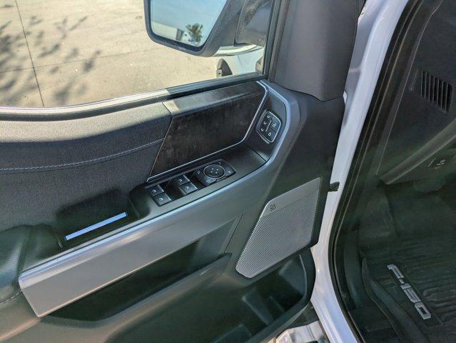 2023 Ford F-150 Vehicle Photo in SELMA, TX 78154-1459