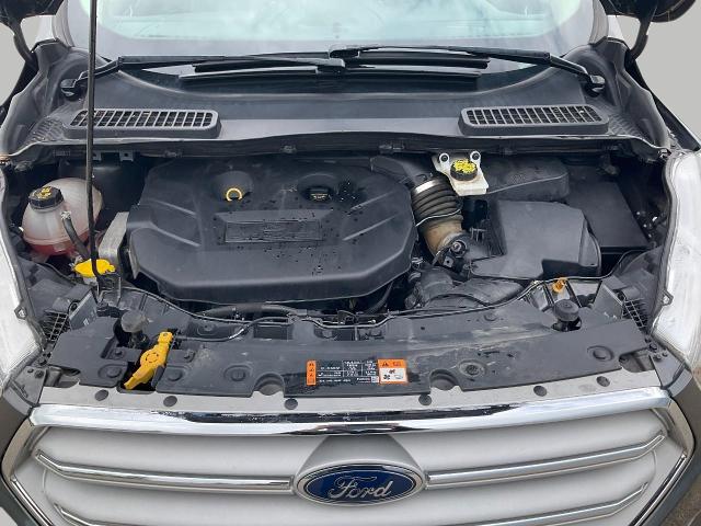 2019 Ford Escape Vehicle Photo in Kaukauna, WI 54130