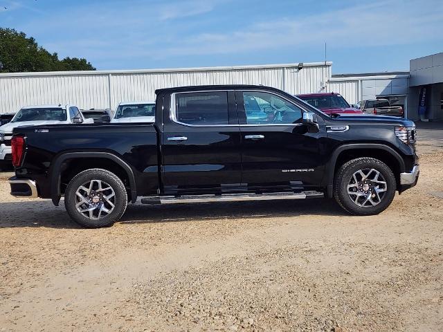 2025 GMC Sierra 1500 Vehicle Photo in PARIS, TX 75460-2116