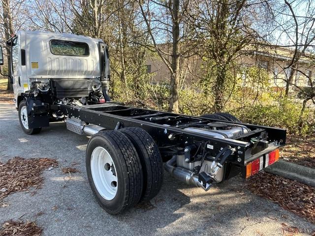 2024 Chevrolet Low Cab Forward 4500 Vehicle Photo in ALCOA, TN 37701-3235