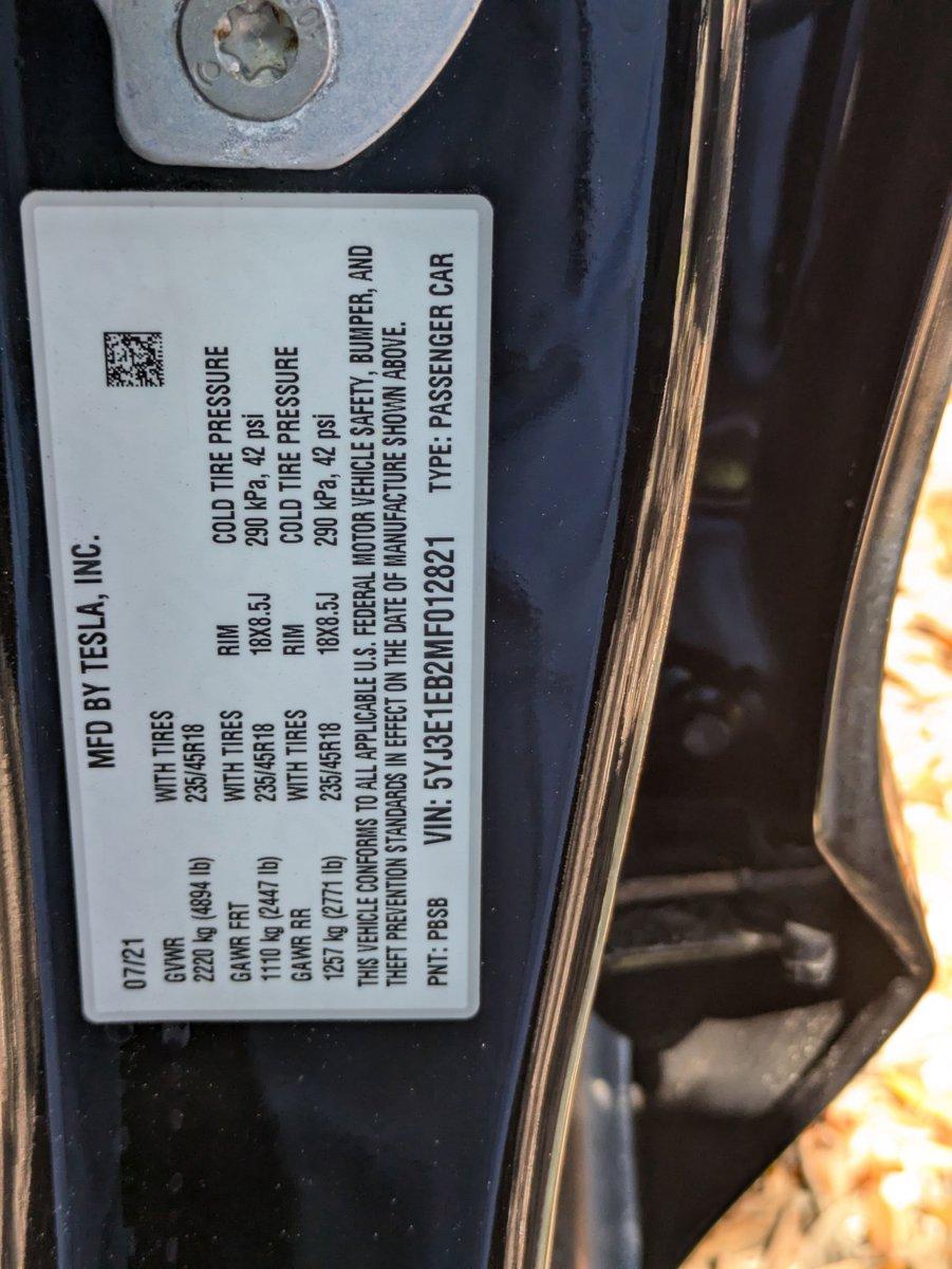 2021 Tesla Model 3 Vehicle Photo in Tampa, FL 33614