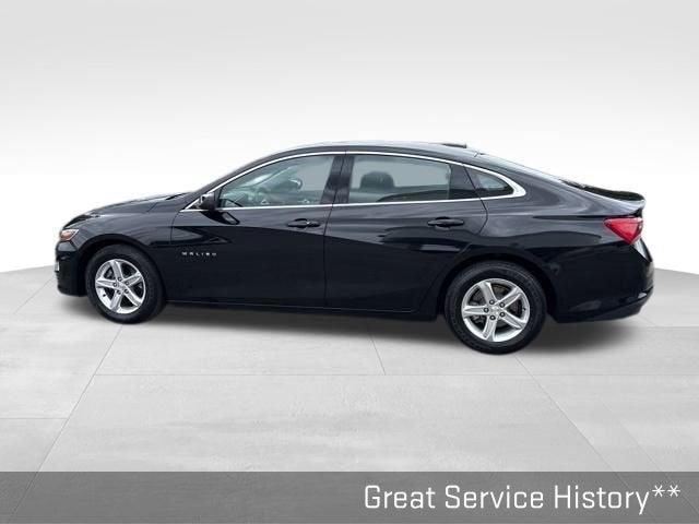 2023 Chevrolet Malibu Vehicle Photo in Fishers, IN 46038