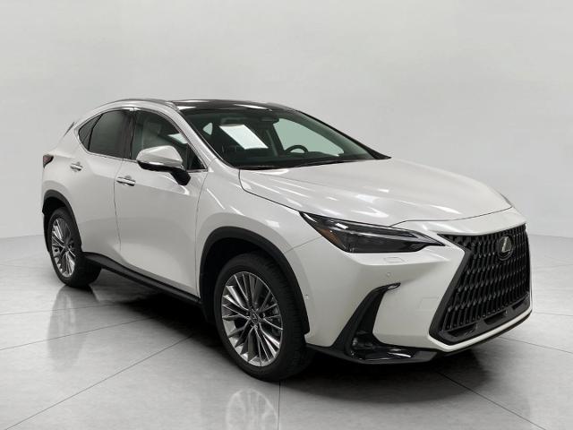 2025 Lexus NX 350 Vehicle Photo in Appleton, WI 54913