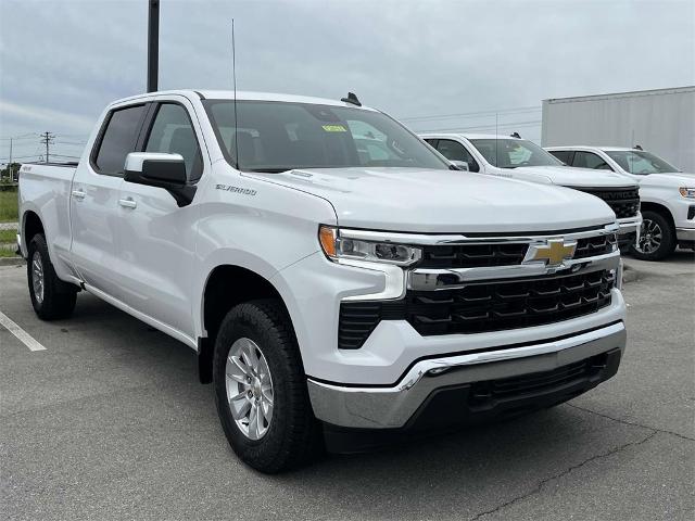 2024 Chevrolet Silverado 1500 Vehicle Photo in ALCOA, TN 37701-3235