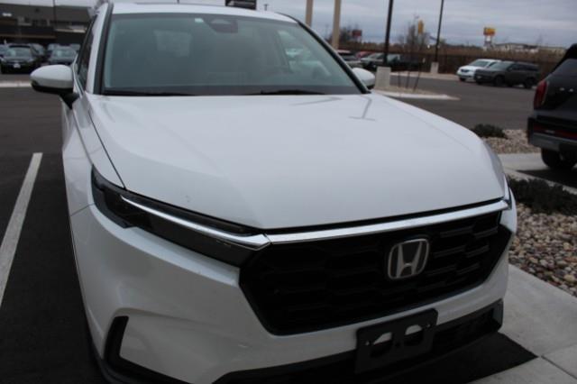 2024 Honda CR-V Vehicle Photo in Green Bay, WI 54304