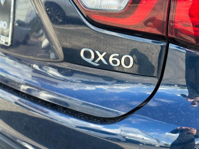 2020 INFINITI QX60 Vehicle Photo in San Antonio, TX 78230