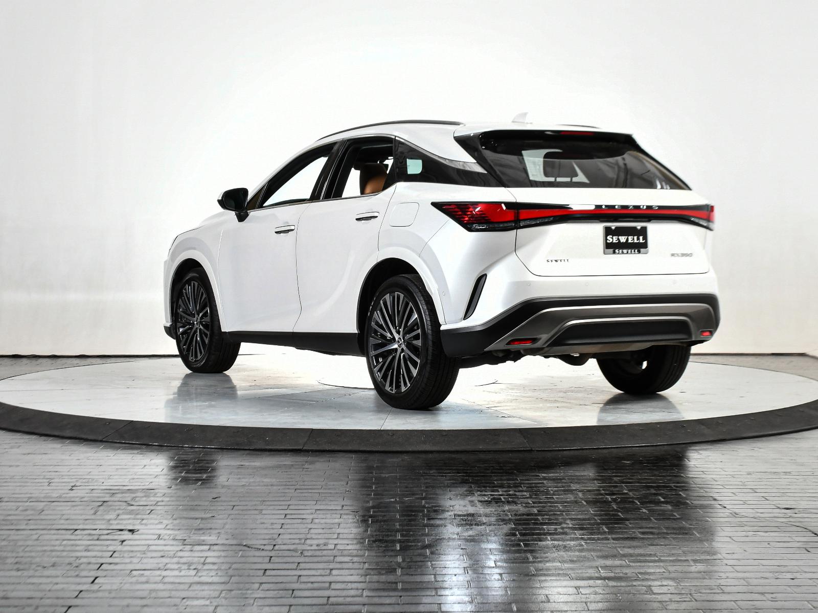 2024 Lexus RX 350 Vehicle Photo in DALLAS, TX 75235