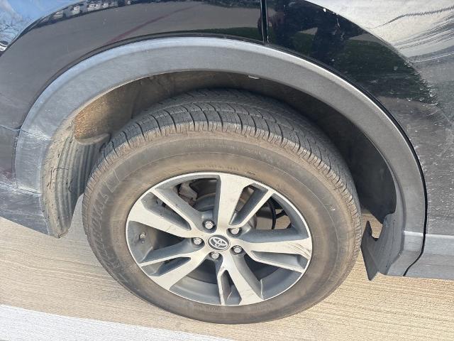 2017 Toyota RAV4 Vehicle Photo in San Antonio, TX 78230