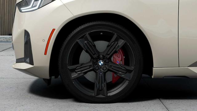 2025 BMW X3 30 xDrive Vehicle Photo in GRAPEVINE, TX 76051