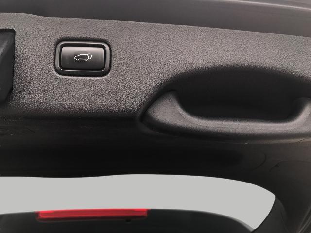 2019 Kia Sorento Vehicle Photo in GREEN BAY, WI 54303-3330