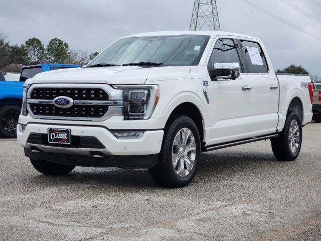 2022 Ford F-150 Vehicle Photo in SUGAR LAND, TX 77478-0000