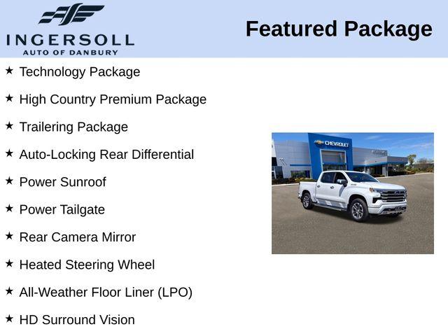2024 Chevrolet Silverado 1500 Vehicle Photo in DANBURY, CT 06810-5034